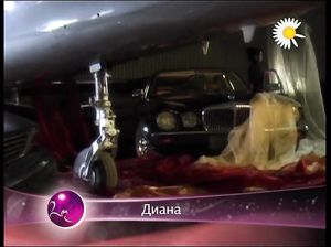 Соблазнительные девчонки из эротического шоу "Мисс Русская ночь"