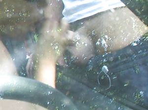 Скрытая камера тайком сняла минет от русской проститутки