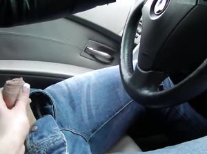 Сочная немка с упоением отсасывает член мужику