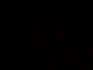 Неудержимый молодой любовник занимается сексом с двумя брюнетками