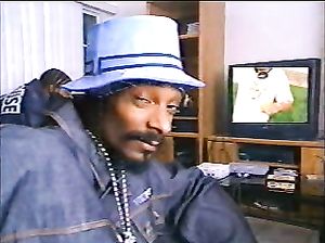 Музыкальный клип Snoop Dogg с порно вставками